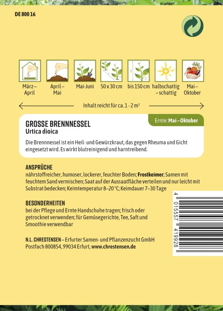 Chrestensen Saatgut Große Brennnessel – Bild 3