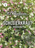 Chrestensen Saatgut Grünkohl Westländer halbhoher - Thumbnail 8