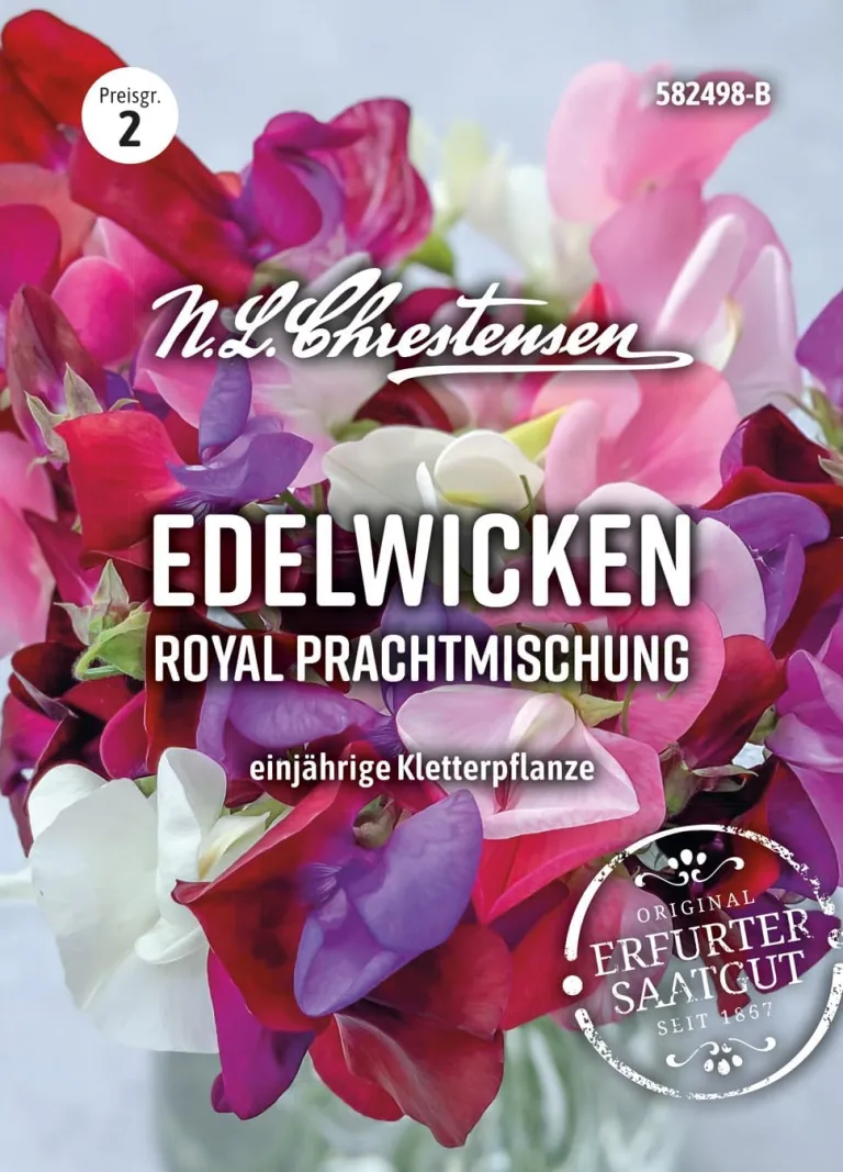 Chrestensen Saatgut Edelwicken Royal Prachtmischung (Lathyrus odoratus) – Bild 2