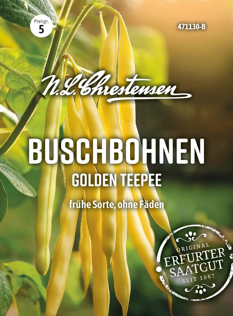 Chrestensen Saatgut Buschbohnen Golden Teepee Gluckentyp – Bild 1