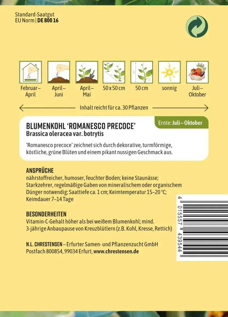 Chrestensen Saatgut Blumenkohl Romanesco precoce – Bild 3