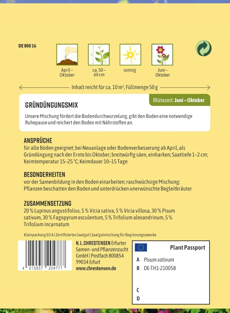 Chrestensen Saatgut Gründüngungsmix – Bild 2