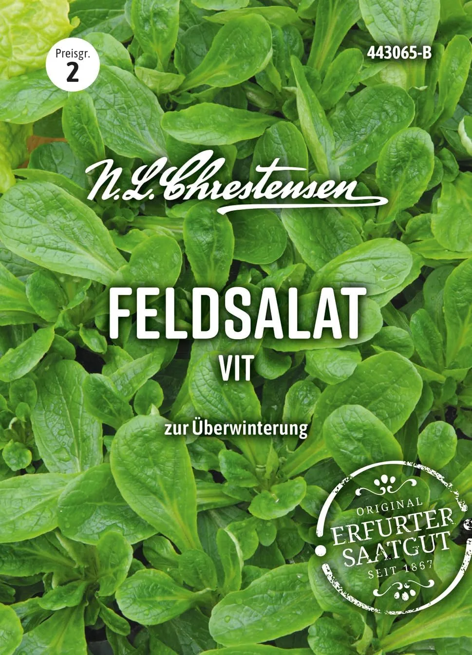 Chrestensen Feldsalat Vit Samen - Winterhart schnellwüchsig - Vitamin C und A - Für Herbst Winter Freiland Gewächshaus - Valerianella locusta - Samenfest