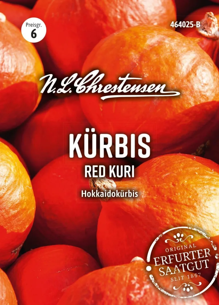 Chrestensen Kürbis Red Kuri Samen - Hokkaido Kürbis Saatgut - 1-3kg Früchte - Aromatisch Nussig - Für Garten Hochbeet - Cucumis maxima - Samenfest – Bild 1
