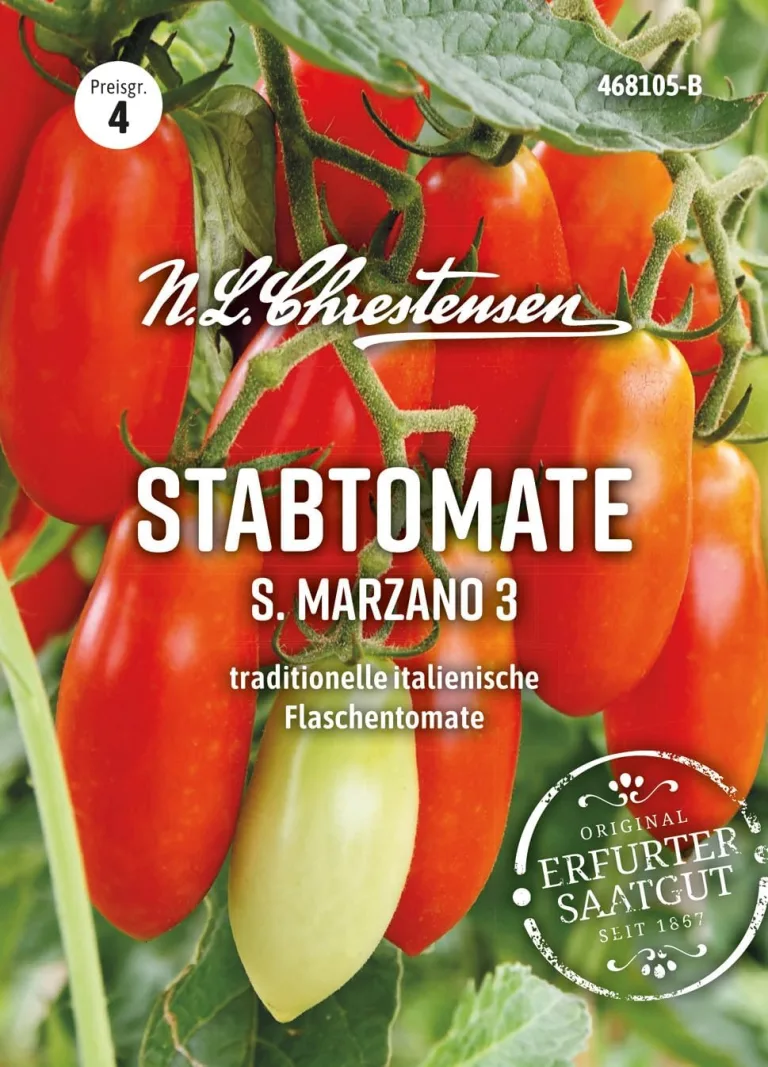 Chrestensen Cherrytomate Solena Orange F1 veredelt - 3 Pflanzen - Süße orangefarbene Tomaten - Für Garten Gewächshaus Balkon - Hoher Ertrag – Bild 2