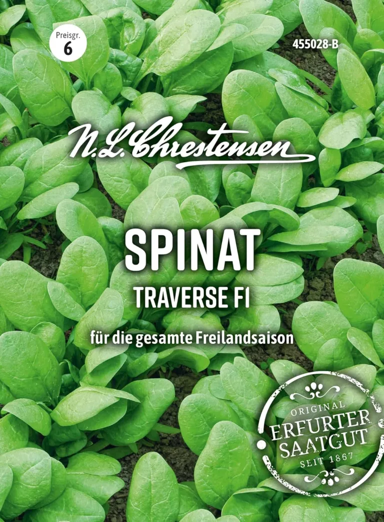 Chrestensen Cherrytomate Solena Orange F1 veredelt - 3 Pflanzen - Süße orangefarbene Tomaten - Für Garten Gewächshaus Balkon - Hoher Ertrag – Bild 7