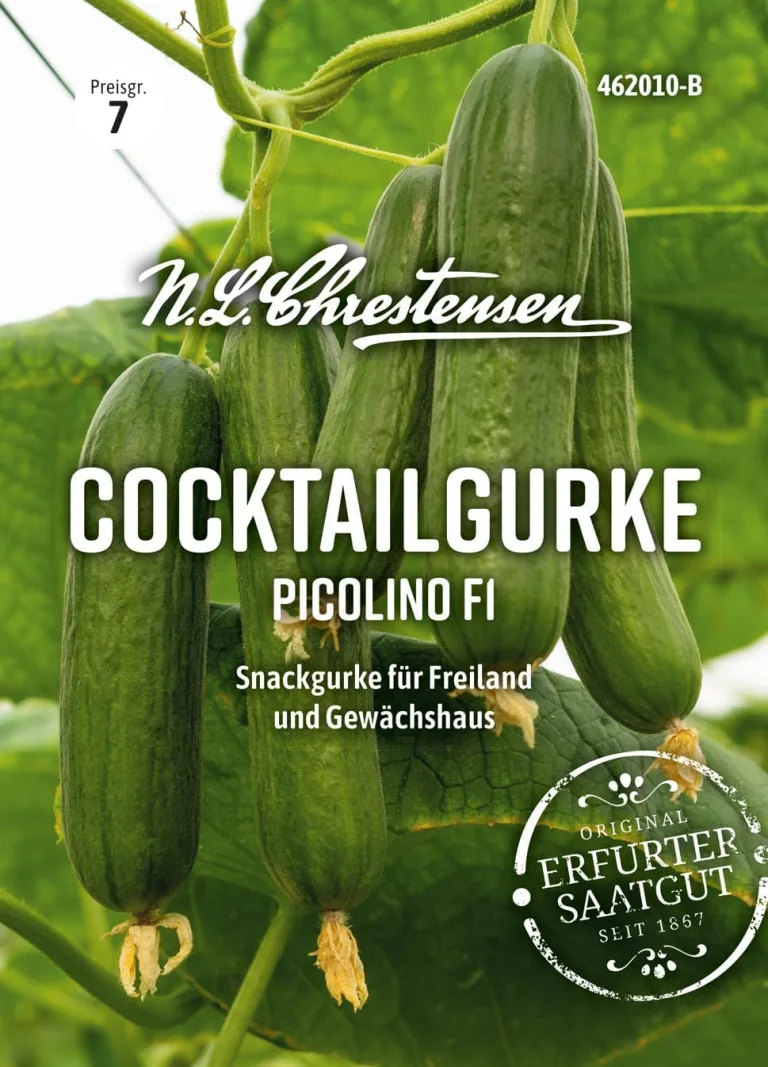 Chrestensen Hausgurke Picolino F1 veredelt - Mini Snackgurke Gemüsepflanze im Topf - Für Garten Gewächshaus Balkon - Hoher Ertrag – Bild 1