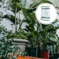Toyvian Gewächshauszelt mit PVC Abdeckung 69x49x155cm Frostsichere Pflanzenschutzhaube für Gartenregal Vierstufige Kleiner Gewächshaus Blumenschutz für Tomaten Paprika Erdbeeren - Thumbnail 5