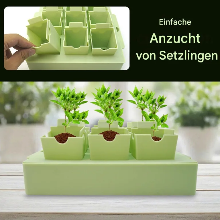 Anzuchtschale mit Untersetzer (Anzuchttöpfe) – Bild 3