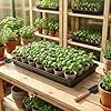50.8x25.4x4 cm 8 Stücke Pflanzwanne Kunststoff Anzuchtplatte Seed Tray Kein Ablaufloch für Garten Terrassen Gewächshäuser Pflanzen – Bild 3