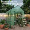 Bamworld Gewächshaus begehbar Garten Außen 145x145x195cm - Bamworld Foliengewächshaus mit Regalen und Fliegengitter-Fenster, Großes Tomatengewächshaus, Grün - Thumbnail 2