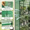 Bamworld Gewächshaus begehbar Garten Außen 145x145x195cm - Bamworld Foliengewächshaus mit Regalen und Fliegengitter-Fenster, Großes Tomatengewächshaus, Grün - Thumbnail 6