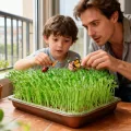 Greens Anzuchtschalen, groß, rostfreier Edelstahl, Gartenpflanzenaufbewahrung, Mini-Pflanzen-Gewächshaus, für Gras, Innen- und Außenbereich, Garten, Zuhause, Büro - Thumbnail 2