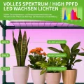 SUNYRISY Gewächshaus Klein mit Grow Lampe, Premium 4 Etagen Doppelt Tomatengewächshaus Foliengewächshaus mit LED Pflanzenlampe, Pflanzen überwinterungszelt Greenhouse für Balkon, Garten - Thumbnail 4