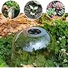 Wiederverwendbare Kunststoff Wachstumsabdeckung Fördert Eine Stabile Feuchtigkeitskontrolle Garten Und Gewächshaus Pflanzenschutz Unterschlupf Leichte Transparente Pflanzenabdeckung - Thumbnail 2