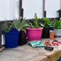 Alasum 30 Stück Teiliges Gewächshaus-klemmset aus Schwarzem Kunststoff Witterungsbeständig Rohrclips für Gartenbau Robuste Folienhalter für Gewächshausfolien Sonnenschutznetze und - Thumbnail 7