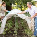 30 Stück Fiberglassstangen, 43cm Abnehmbaren Pflanztunnel Bögen, Folientunnel Foliengewächshaus Set Für Gartenvlies Und Gartenstützen Verwendet (B) - Thumbnail 9