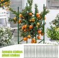 Spalierverbinder für Pflanzen – Set mit 30 Teilen, erweiterbares Kit, Kletterhilfe, Tomaten, garten, Gewächshaus, Gartenstruktur, Zubehör, widerstandsfähig und einfach zu montieren | für nachhal - Thumbnail 4
