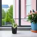 Homoyoyo 50 Stück Kunststoff Anzuchttöpfe mit Abflusslöchern Runde Pflanzgefäße Ø165cm für Garten und Gewächshaus Große Blumentöpfe zur Aussaat und Pflanzenanzucht - Thumbnail 7