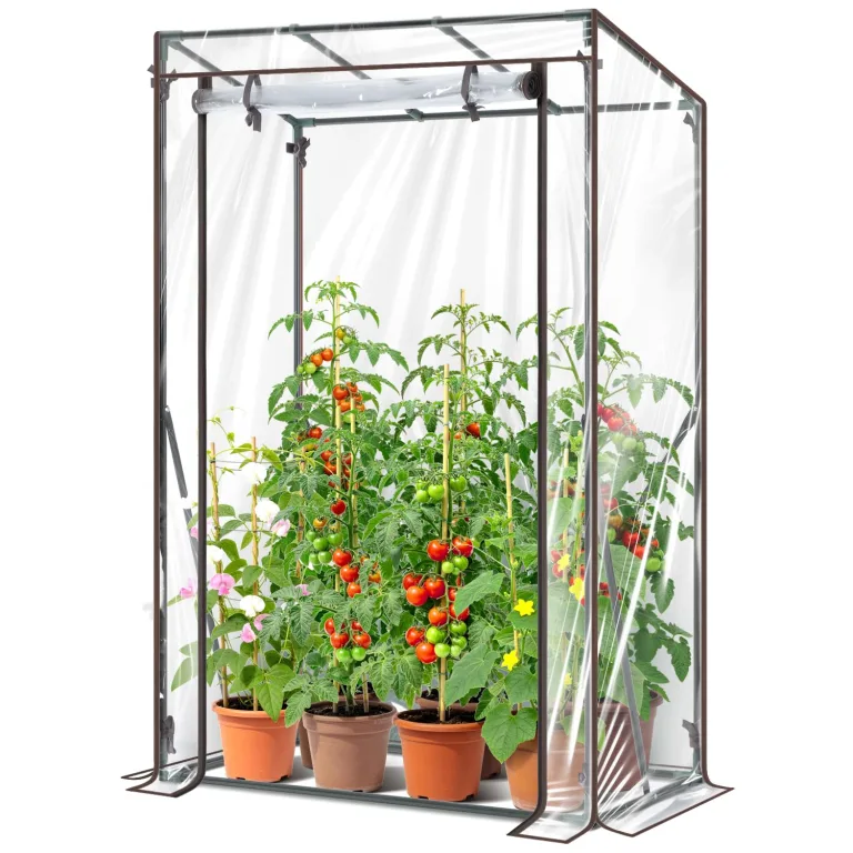 Ohuhu Gewächshaus klein Premium Foliengewächshaus Tomatengewächshaus für Balkon, Tomatenhaus Treibhaus Gewächshaus Balkon überwinterungszelt für Pflanzen, Stabil Winterfest PVC 100x50x152 cm – Bild 1