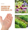 Transparente Wiederverwendbare Gartenpflanzen-befestigungsclips Langlebige Kunststoff-pflanzenpins für Erdbeer Rebenstütze im Outdoor-Garten und Gewächshaus - Thumbnail 3