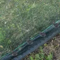 SEWACC 100 Stück Schattentuchklammern aus Robustem Kunststoff Schwer Belastbar mit Verschlussgriff für Sonnenschutznetz Vielseitig für Garten Gewächshaus und Outdoor Einsatz - Thumbnail 8