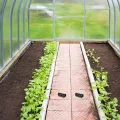 30 Stück Teiliges Gewächshaus-klemm- Wetterfeste Kunststoff-clips für Folien Netzbefestigung Robuste Pflanzenbefestiger Windbeständige Gartenclips für Gewächshaus und - Thumbnail 7
