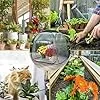 Kleines Gewächshaus - Pflanzen Winterschutz Zubehör | Kleines Terrassen Gewächshaus - Für Gärtner Züchter Anfänger Mit Garten Terrasse Balkon Garten Baumschule Deck – Bild 3