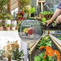 Kleines Gewächshaus - Pflanzen Winterschutz Zubehör | Kleines Terrassen Gewächshaus - Für Gärtner Züchter Anfänger Mit Garten Terrasse Balkon Garten Baumschule Deck - Thumbnail 7