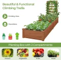 FANTASK Hochbeet mit Spalier, 235 x 63 x 102 cm, Gartenbeet Tannenholz mit Spalier für Kletterpflanze, Pflanzbeet mit Rankgitter, Blumenkübel für Balkon, Garten & Terrasse (Braun) - Thumbnail 6