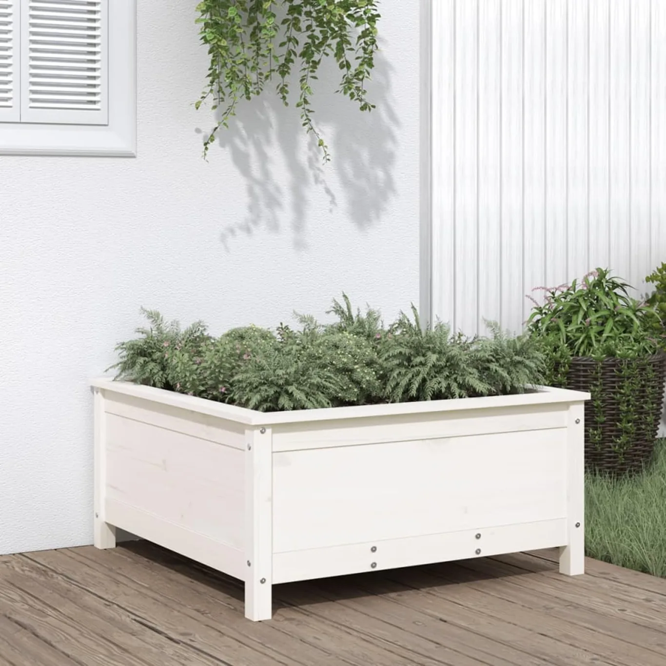 WGYHOME Pflanzkübel Weiß 82,5x82,5x39 cm Massivholz Kiefer Hochbeet für Gemüse extra groß Gemüsebeet Pflanzkübel Frühbeet Gartenbeet Pflanzkübel Blumenkasten für Garten Balkon und Terrasse - Bild 1
