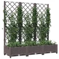 WGYHOME Pflanzkübel mit Rankgitter Braun 80x40x136 cm PP Hochbeet für Gemüse extra groß Gemüsebeet Pflanzkübel Frühbeet Gartenbeet Pflanzkübel Blumenkasten für Garten Balkon und Terrasse - Thumbnail 10
