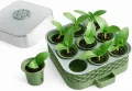 Selbstbewässerndes Anzuchtset – 6 Pflanztöpfe mit Wasserspeicher & Feuchtigkeitskuppel – Modernes Kräuter- & Gemüse-Keimset für Fensterbank & Balkon (Grun, 6-Topf) - Thumbnail 4