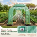 Sekey Gewächshaus Winterfest Foliengewächshaus verzinkt 3x2x2m - 6m² Folientunnel Stabil mit 2m Stehhöhe, Treibhaus, Tomatenhaus inkl. 2 Türen & 4 Fenster & Profi-Fixierungs-Set, 140g/m² PE-Folie - Thumbnail 8