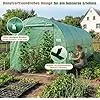 Sekey Gewächshaus Winterfest Foliengewächshaus verzinkt 4x2x2m - 8m² Folientunnel Stabil mit 2m Stehhöhe, Treibhaus, Tomatenhaus inkl. 2 Türen & 8 Fenster & Profi-Fixierungs-Set, 140g/m² PE-Folie - Thumbnail 2