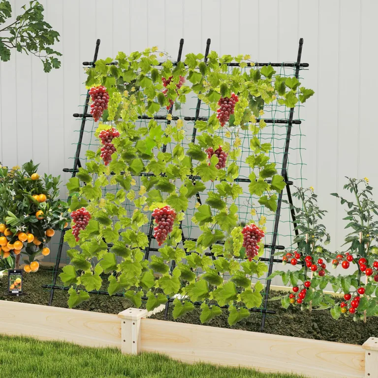 COSTWAY Gurke Rankhilfe Set, A-förmig, Rankgitter mit Gartennetz & Clips, Pflanzenhalter Metall, Pflanzenstütze für Kletterpflanzen Blumen Gemüse, Pflanzenspalier, 80 x 93 x 190 cm, Schwarz – Bild 8