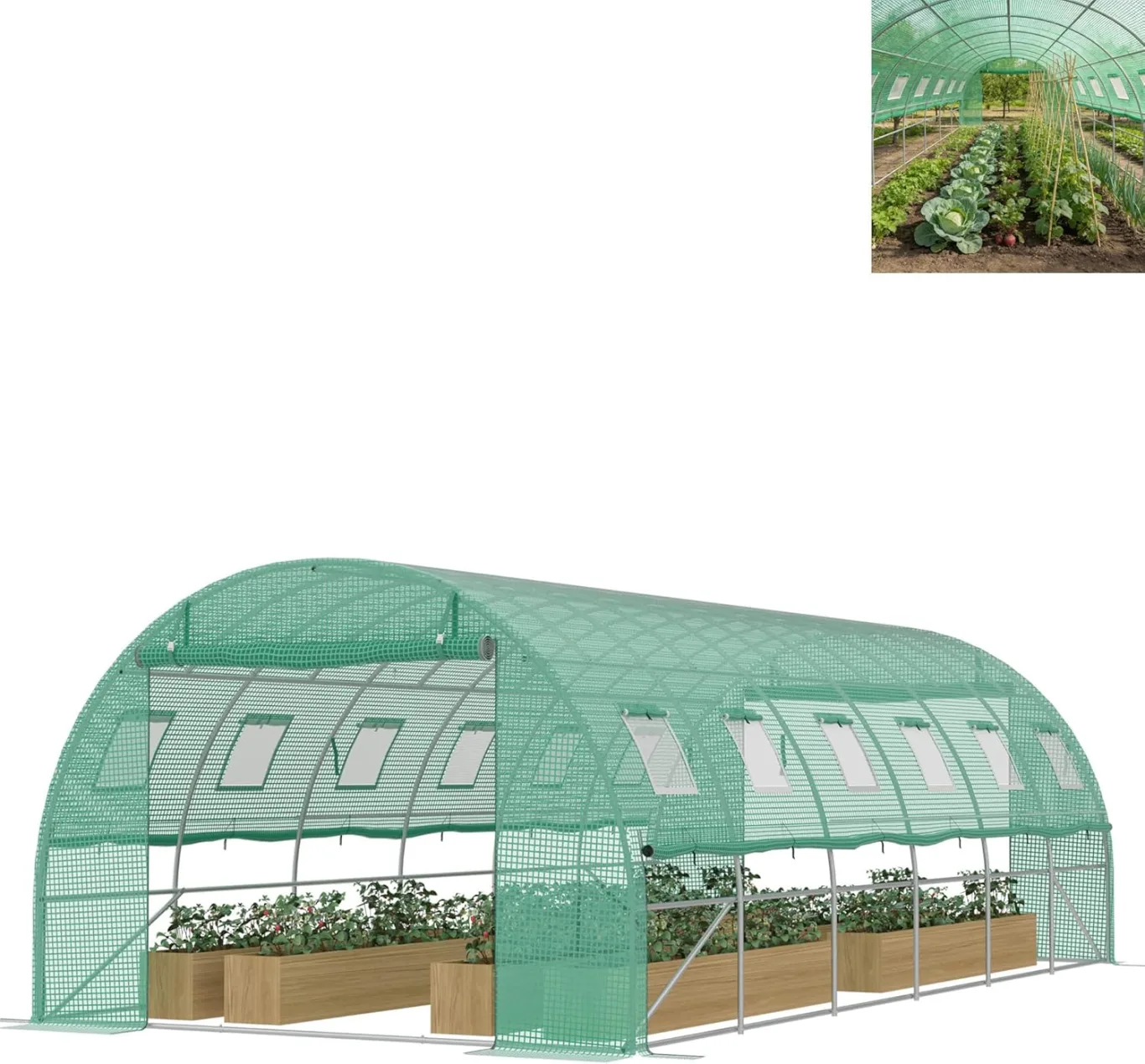 Foliengewächshaus 6x3x2m, verzinktem Stahl Gewächshaus, aufrollbare Seitenwände mit Moskitonetz, 12 Fenster & 2 Tür inkl. inkl. Erdanker & Seile, Grün - Bild 1