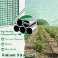 18㎡ Frostschutz Gartengewächshäuser aus Stahl Rahmen 3x6x2m HDPE Foliengewächshaus mit 12 Insektenschutzgitter Fenster & 2 Tür Begehbares Gewächshaus Garten Überwinterungszelt für Pflanzen - Thumbnail 4