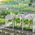 UV-beständig Winterfest Foliengewächshaus mit Aufrollbar Seitenwände ,Stahlrahmen Gewächshaus 270x90x90cm,Tomatenhaus für Gemüse Pflanzen Transparent - Thumbnail 9
