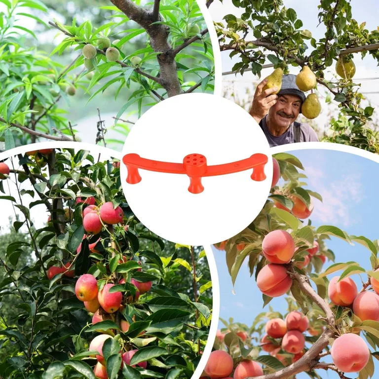Pflanzen Trainings Clips,360 Grad Drehbare Verzweigungs Befestigungsklemmen - 10 Stück Pflanzenhalter Für Rankhilfe,Für Garten Gewächshaus Beet Tomaten Orchideen Kräuter Indoor Und Outdoor – Bild 5