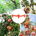 Pflanzen Trainings Clips,360 Grad Drehbare Verzweigungs Befestigungsklemmen - 10 Stück Pflanzenhalter Für Rankhilfe,Für Garten Gewächshaus Beet Tomaten Orchideen Kräuter Indoor Und Outdoor - Thumbnail 5