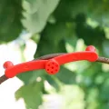 Low-Stress Trainingsclips - 360 Grad Drehbare Stammhalterungen | 10 Stück Pflanzenstützklammern | Für Außen, Garten, Gewächshaus, Blumenbeet, Gemüse, Tomaten, Efeutute, Orchideen Und - Thumbnail 4