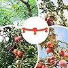 Pflanzenclips - 360 Grad drehbare Aststützclips, 10 Stück Pflanzenstielbieger für verstellbares Training, ideal für Garten Gewächshaus Blumenbeet Gemüse Tomaten Pothos Orchidee Indoor Outdoor Pflanzen – Bild 2
