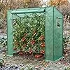 Aufun Gewächshaus Foliengewächshaus mit 2 Belüftungsfenster 200x80x150 cm, Stabil Begehbarers Tomaten Foliengewächshaus Balkon Outdoor, Winterfest Tomatenhaus für Optimales Pflanzenwachstum – Bild 2