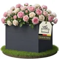 novaterra® Hochbeet Metall Anthrazit - B 100 x T 50 x H 77 cm - Premium Hochbeet aus pulverbeschichtetem Stahl, Schneckenschutz, wetterfest, ideal für Kräuterbeet, Frühbeet & Blumenkasten - Thumbnail 10