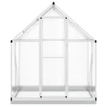 Gewächshaus mit Fundamentrahmen - Aluminium/PC, Pflanzenhaus mit Dachrinnensystem Flügeltür, Treibhaus für Pflanzen, Frühbeet (169 x 114 x 202 cm) - Thumbnail 4