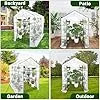 GarveeHome Gewächshaus Foliengewächshaus Begehbares Gartenhäuschen Mit Regal, Tomatenhaus Tomatengewächshaus, Folien Treibhaus Für Tomaten, Gemüse, Obst, Blumen - Thumbnail 2