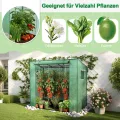 YRHome Schrägdach Gewächshau 200 x 80 x 150 cm Mit Tür & Aufrollbare Fenster Atmungsaktives Gewächshaus,Verzinktem Stahl Rohre Tomatenhaus UV-Schutz für Gemüse,Grün - Thumbnail 7