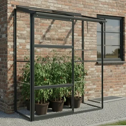 Gewächshaus Glas 0,9 m² Aluminium Rahmen mit Schiebetür | Premium Wand-Gewächshaus schwarz Temperaturkontrolle Aufstellfenster | Tomaten- und Anzuchtgewächshaus 130 x 68 x 173 cm (B x T x H) – Bild 9