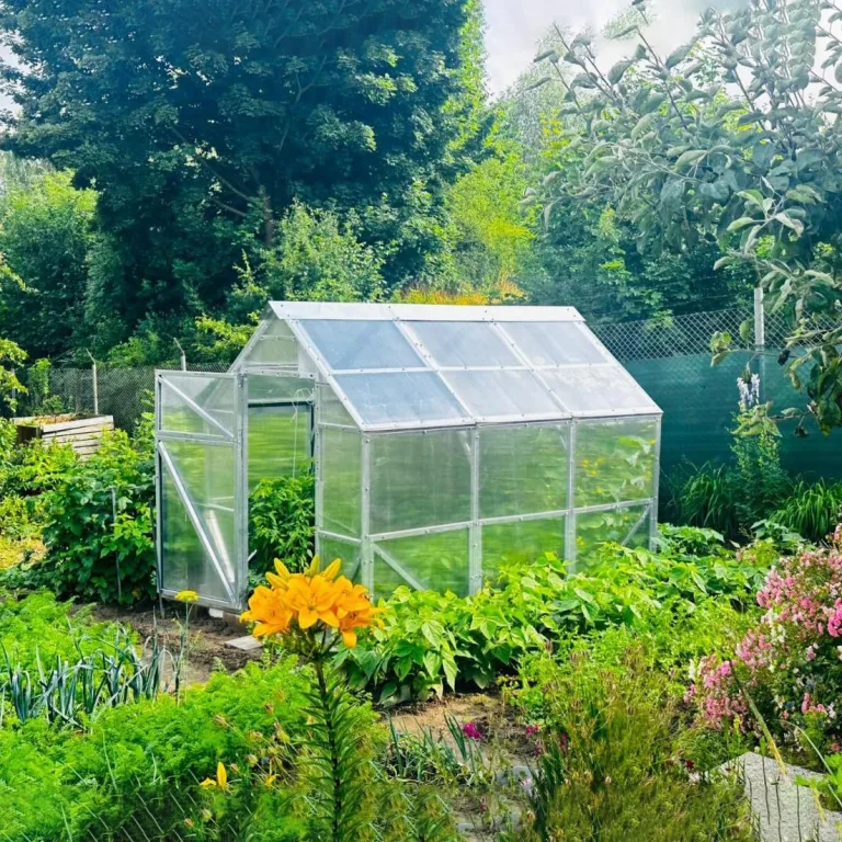 Gewächshaus Smart aus Stahl 200x300x220cm | UV-beständige 6 mm Hohlkammerplatten | Winterfestes Tomatenhaus & Treibhaus für Garten – Bild 8